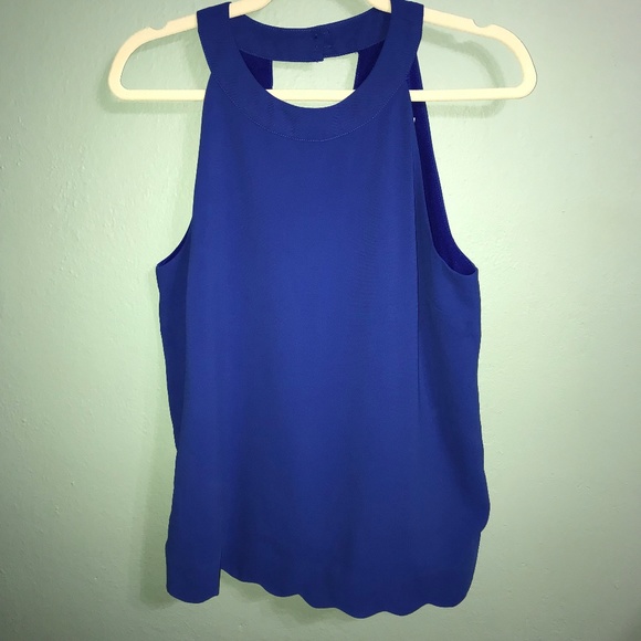 Alice Blue Tops - Alice Blue Stitch Fix Castello Scallop Hem Blouse